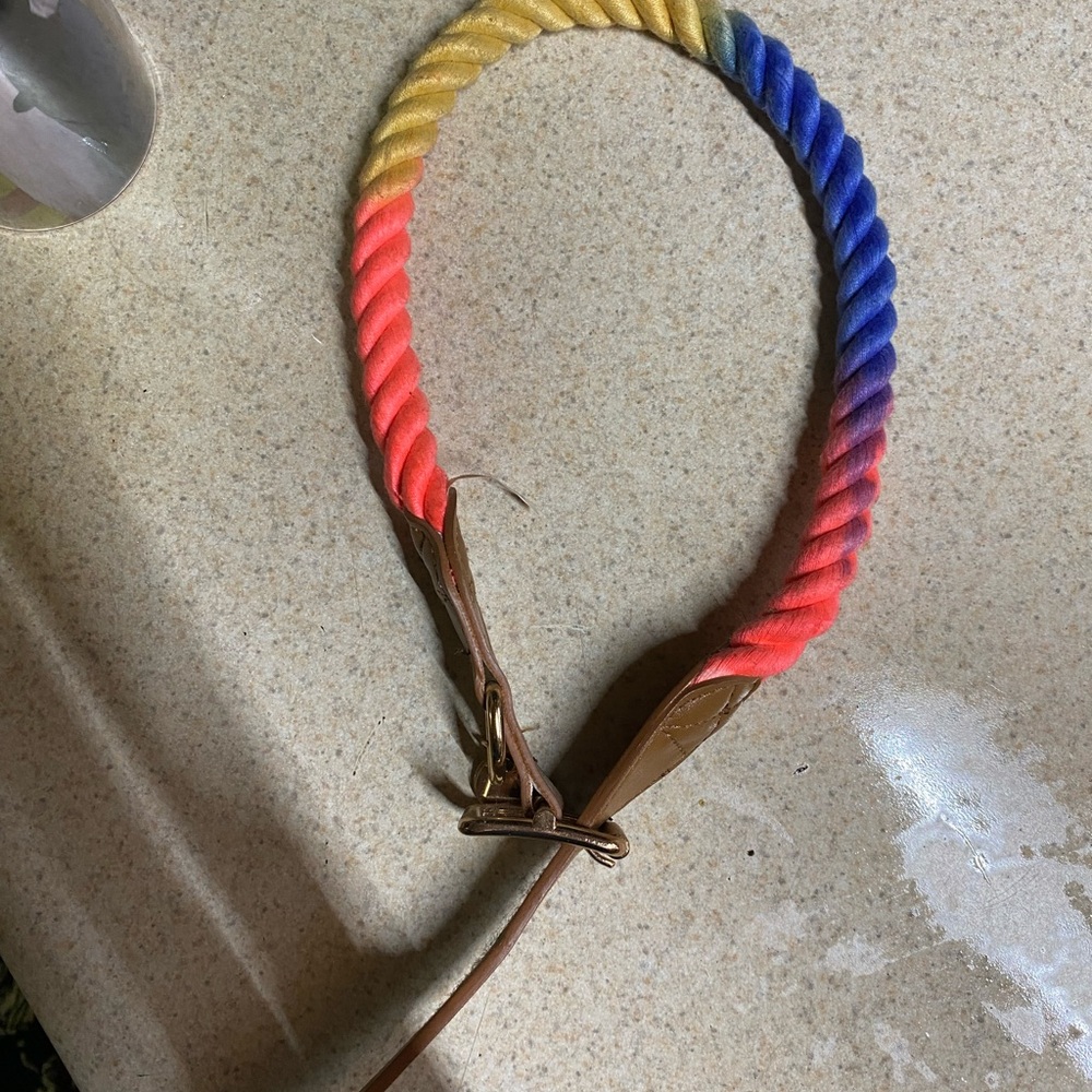 Multicolor Large Dog Collar